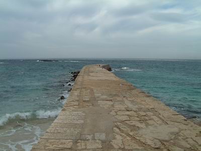 DSCF0092.JPG
